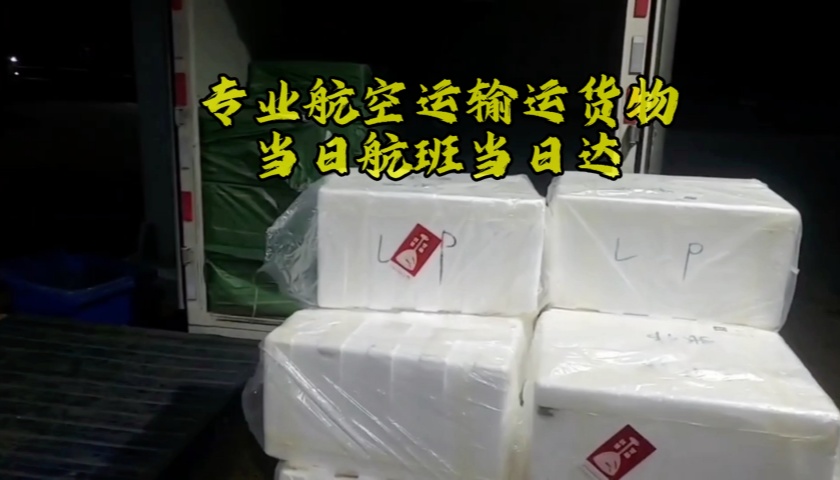 首都空运货物到合肥,北京航空加急送件